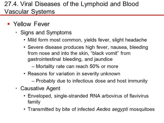 Mosquito Diseases List of Notorious Mosquito Carried Diseases